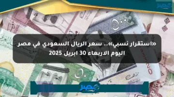«استقرار نسبي».. سعر الريال السعودي في مصر اليوم الأربعاء 30 أبريل 2025